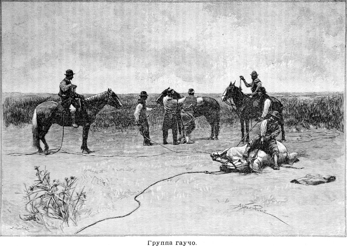 549 Группа гаучо